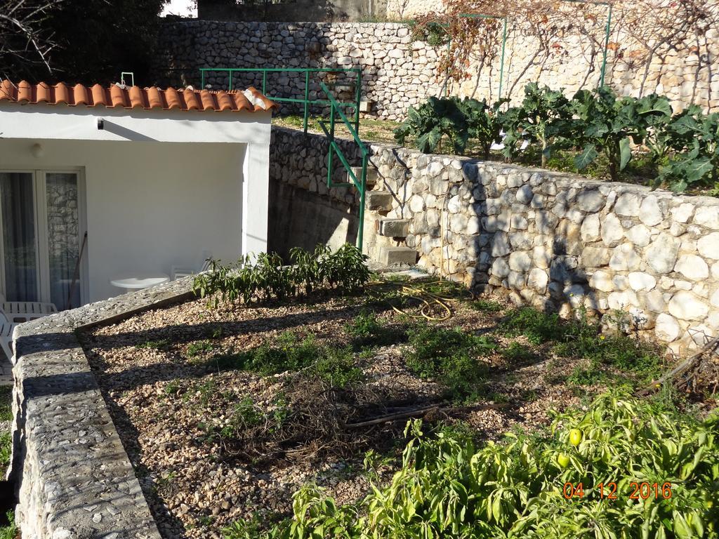 Holiday House Zorra Živogošće Dış mekan fotoğraf