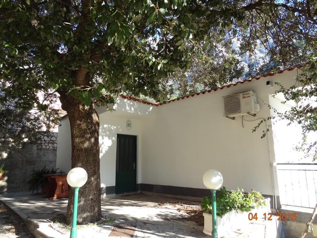 Holiday House Zorra Živogošće Dış mekan fotoğraf