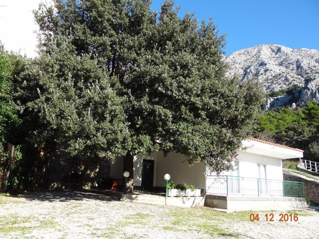 Holiday House Zorra Živogošće Dış mekan fotoğraf