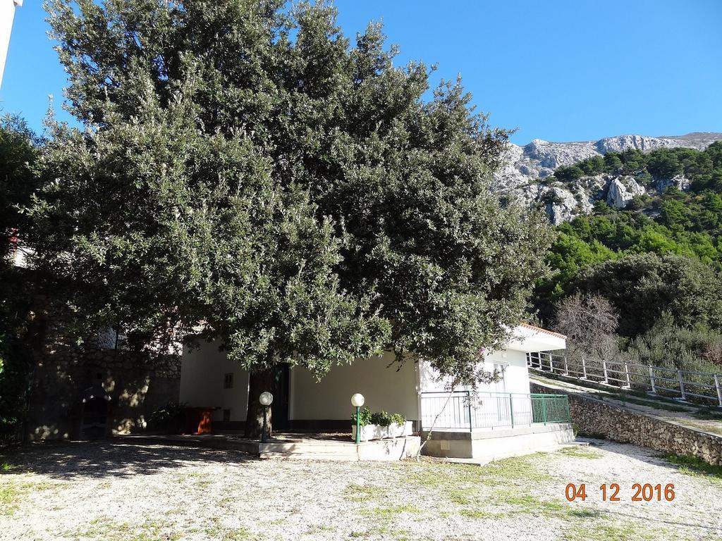 Holiday House Zorra Živogošće Dış mekan fotoğraf